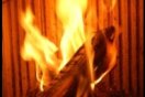 Scheitholzfeuer im TFZ Pruefstand in Straubing