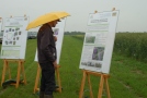 Ein Besucher informiert sich intensiv zum Getreide-Leguminosen-Gemenge.