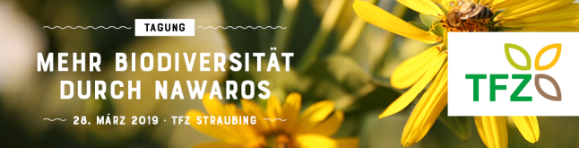 Save-the-Date-Banner