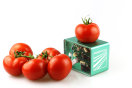 Food Scanner misst die Qualität von Tomaten