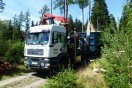 Lkw mit Aufbau hackt Energieholzsortiment am Waldweg.