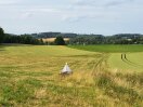 Malaisefalle im WL-Modellgebiet Buch am Erlbach