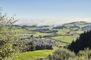 Ein Tal mit grünen Wiesen, Wäldern, Straßen, kleinem See und einer kleinen Ortschaft.