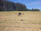 Drohnenbefliegung eines Maisfelds