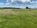 Anmoorige Grünlandfläche, teilweise natürlich vernässt, mit unterschiedlichen Wasserständen.