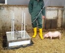 offene, dynamische Messhaube zur Erfassung der eingestreuten Flächenquelle im Schweinestall