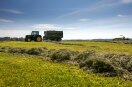 Traktor mit Ladewagen auf einer gemähten und geschwadeten Kleegrasfläche