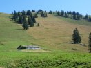 Weideflächen um die Haaralm