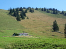 Weideflächen um die Haaralm 