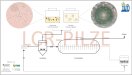 LCR-Pilze Ablaufschema im Biogasprozess