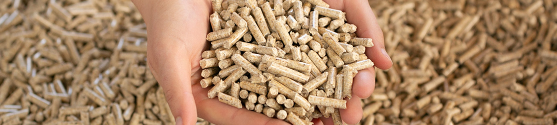 Frauenhände halten Holzpellets