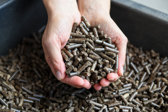 Eine Person hält Pellets in der Hand.