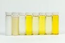 Acht Probenfläschchen mit weißen Deckel und verschiedenen Flüssigkeiten von durchsichtig bis zu transparenten Gelbtönen stehen in einer Reihe vor weißen Hintergrund.