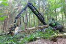 Harvester entrindet und entastet einen Baumstamm maschinell.