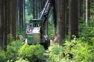 Harvester mit PEMS-Messgerät beim Baumfällen