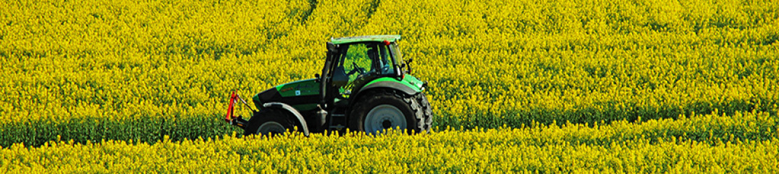 Header: Rapsöltraktor im Rapsfeld