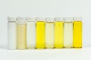 Acht schlanke transparente Flaschen nebeneinander sind gefüllt mit unterschiedlich klaren bis hellgelben Flüssigkeiten.