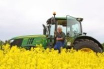 Ein mit Rapsoelkraftstoff betriebener Schlepper steht im Rapsfeld