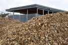 Das Bild zeigt Ausschnitte von Haufwerk gelagerter Holzhackschnitzeln aus dem Kurzumtrieb. Die Brennstoffe sind unter freiem Himmel ohne Abdeckung gelagert. Diese machen die unteren zwei Drittel des Bildes aus. Im Hintergrund ist eine Lagerhalle des TFZ zu sehen.