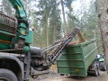 Holzhackschnitzel aus einem Trommelhacker transportiert ein Förderband in einen Container