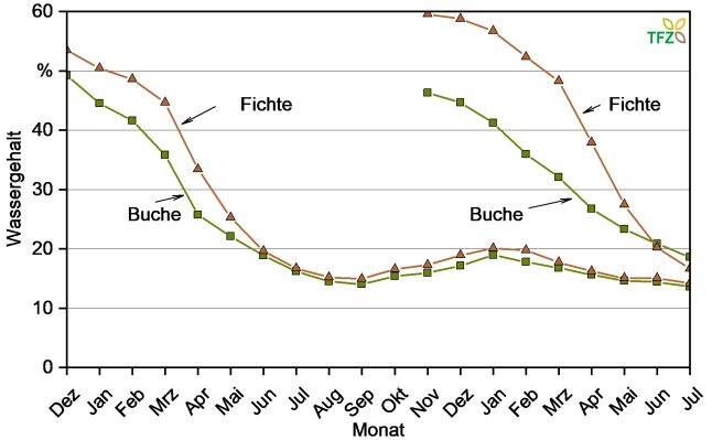 Trocknungsverlauf für Buchen- und Fichtenscheite