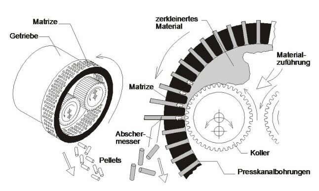 Pelletpresse Skizze