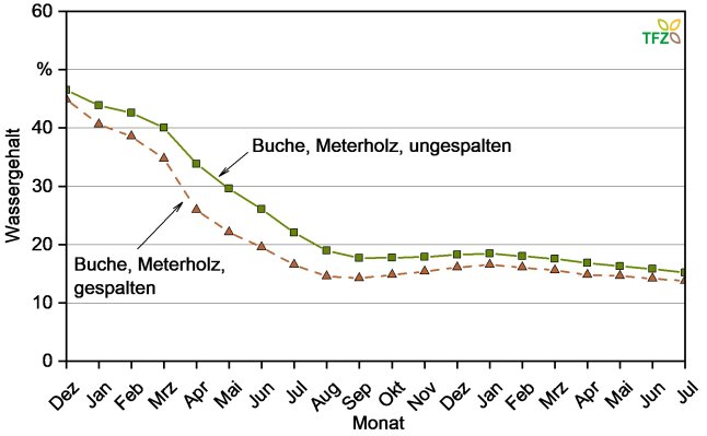 Trocknungsverläufe frisch gespaltener und ungespaltener Meterscheiten (Buche)