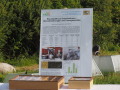 Mit einem Poster und Exponaten stellten Wissenschaftler Ergebnisse zu Brennstoffen aus Paludikulturen vor.