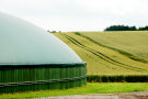 Auf dem Foto ist eine Biogasanlage mit grüner Kuppel auf einer Wiese vor einem Getreidefeld erkennbar.