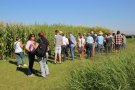 Auf dem Foto ist eine Besuchergruppe auf Versuchsflächen mit Energiepflanzen erkennbar