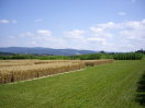 fruchtfolgeversuch auf dem Feld