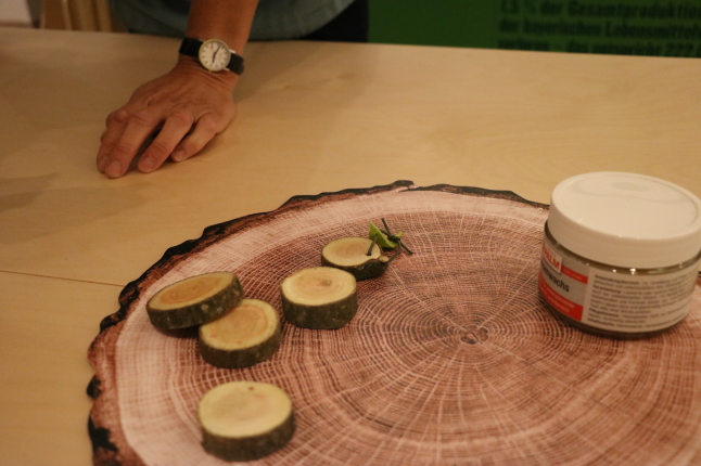 Holzscheibe mit weiteren kleineren Holzscheiben