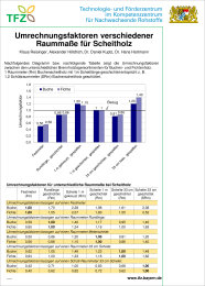 Cover Poster Umrechnungsfaktoren Raummaße Scheitholz