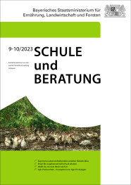 Schriftzug Schulde & Beratung; viele weiße Hennen unter einer Staude