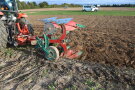 Das Foto zeigt einen roten Traktor mit einem roten Pflug der eine abgeerntete Silphiefläche pflügt.