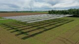 Das Foto zeigt eine Luftaufnahme der fertig installierten hoch aufgeständerten Agri-PV-Anlage.