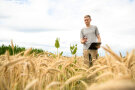Das Foto zeigt eine Person bei der Bonitur im Getreidebestand mit Silphiedurchwuchs