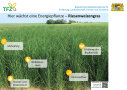 Schild für Riesenweizengras-Fläche, im Hintergrund grüner Riesenweizengrasbestand, im Vordergrund mehrere Stichpunkte zu den ökologischen Vorteilen der Kultur mit Piktogrammen