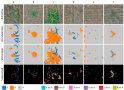 Das Foto zeigt Ergebnisse am Test-Datensatz sorghum_17 der Größe 400x400 Pixel