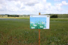Schild im Vordergrund, Wiese mit blauen Blüten im Hintergrund