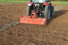 Das Foto zeigt einen Traktor mit roter Fräse beim Umbruch von Durchwachsener Silphie.