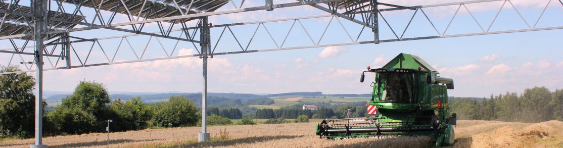 Das Foto zeigt einen Mähdrescher bei der Winterweizenernte unter hoch aufgeständerten Photovoltaik-Modulen