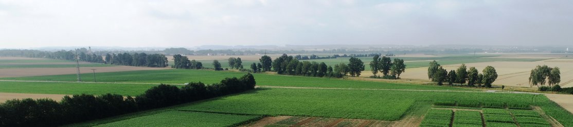 Drohnenaufnahme des Versuchsstandorts auf der Platte in Straubing