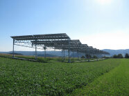 Das Foto zeigt hoch aufgeständerte Solarmodule auf einer Ackerfläche im Sommer