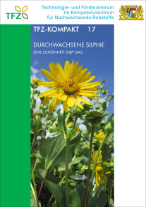 Durchwachsene Silphie als Titelbild mit weißem Titel-Schriftzug