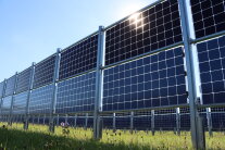Das Foto zeigt eine Vielzahl von vertikal aufgeständerten Solarmodulen auf Grünland