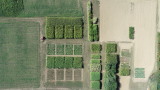 Das Drohnenfoto zeigt einen Standort der Demonstrationszentren Energiepflanzenanbau von oben. Dabei erscheinen die Parzellen der vielfältigen Kulturen in kleinen Rechtecken.