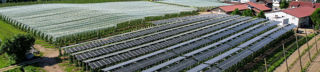 Agri-PV-Anlage in Kressbronn