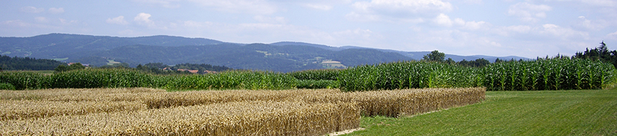 Fruchtfolgeversuch auf dem Feld in Ascha