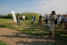 Besuchergruppe steht im Feld und hört dem Referenten zu, der vor der Gruppe steht. 